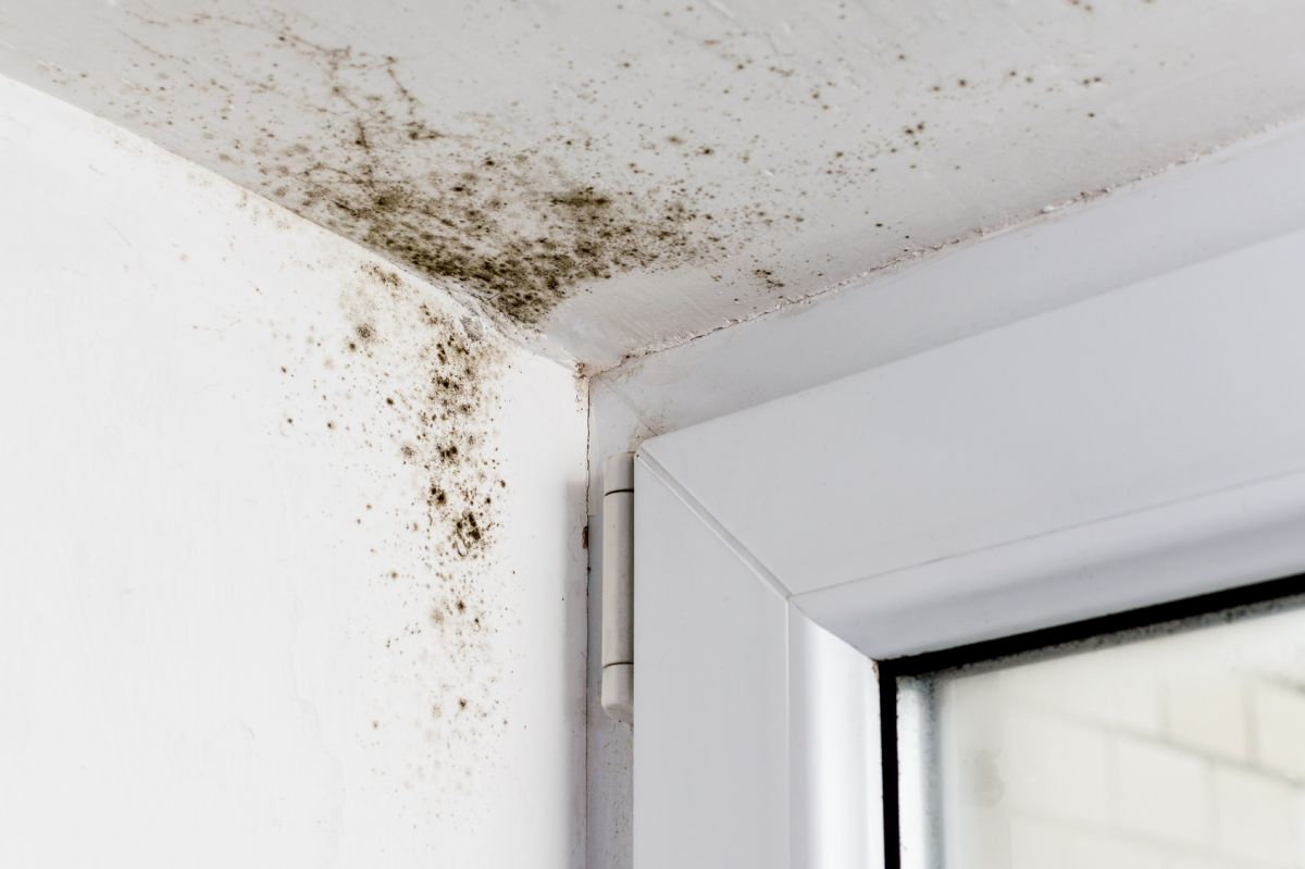 Problème d'humidité dans une habitation à Brest Problème d'humidité dans une habitation à Brest