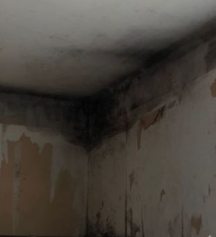 Humidité en Finistère : l'impact sur le bâti Humidité en Finistère : l'impact sur le bâti