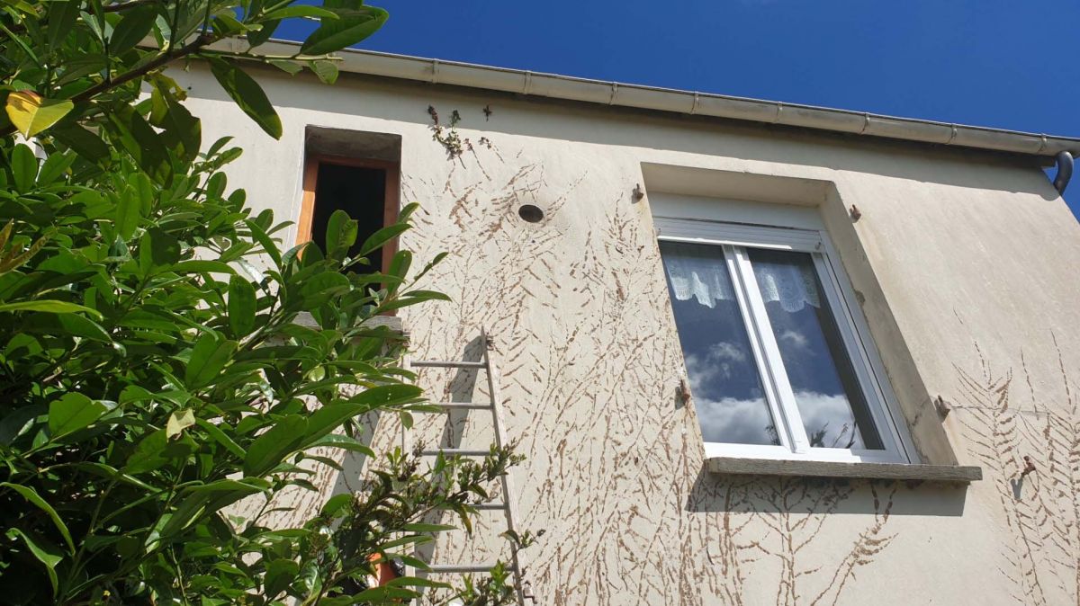 Maison près de Brest présentant les symptômes d'un problème d'humidté Maison près de Brest présentant les symptômes d'un problème d'humidté